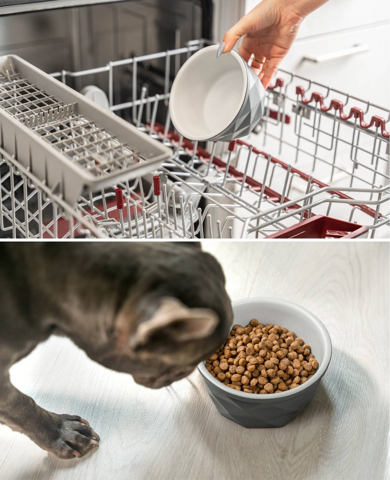 lionto Keramik Futternapf, hochwertiger Napf für Hunde & Katzen, spülmaschinengeeignet, rutschfest & stilvoll, 550 ml, dunkelgrau/hellgrau matt