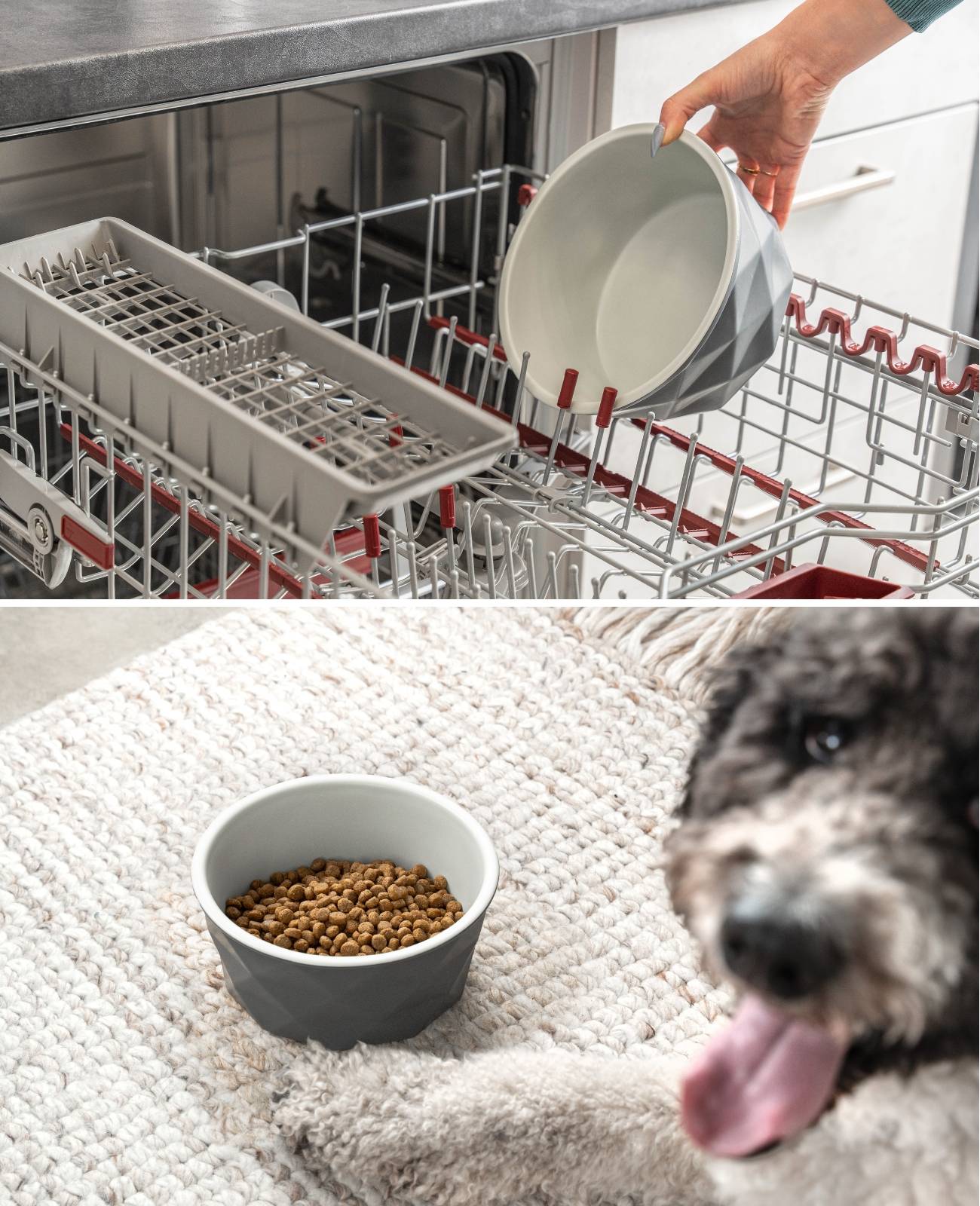 lionto Keramik Futternapf, hochwertiger Napf für Hunde & Katzen, spülmaschinengeeignet, rutschfest & stilvoll, 1100 ml, dunkelgrau/hellgrau matt