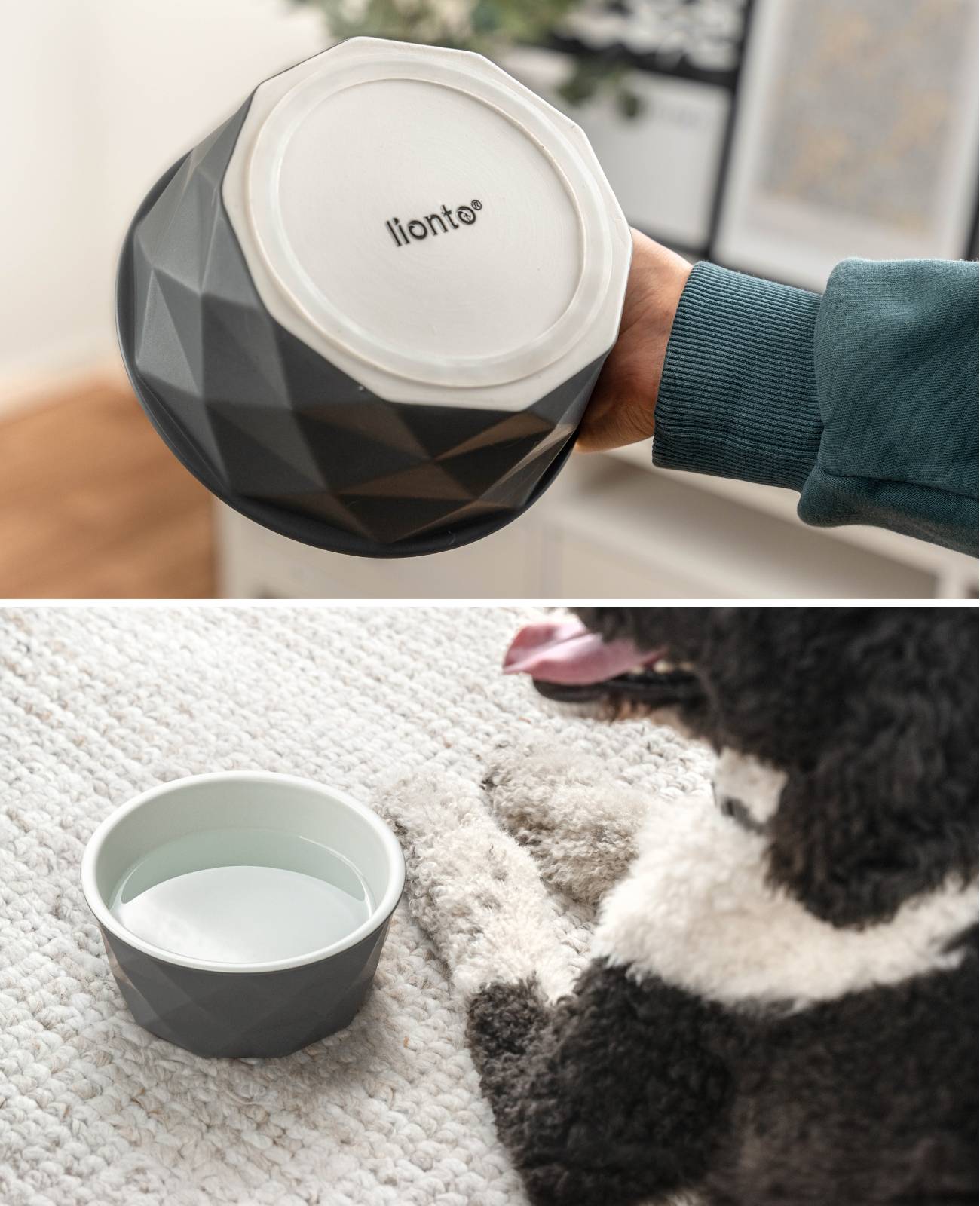 lionto Keramik Futternapf, hochwertiger Napf für Hunde & Katzen, spülmaschinengeeignet, rutschfest & stilvoll, 1100 ml, dunkelgrau/hellgrau matt