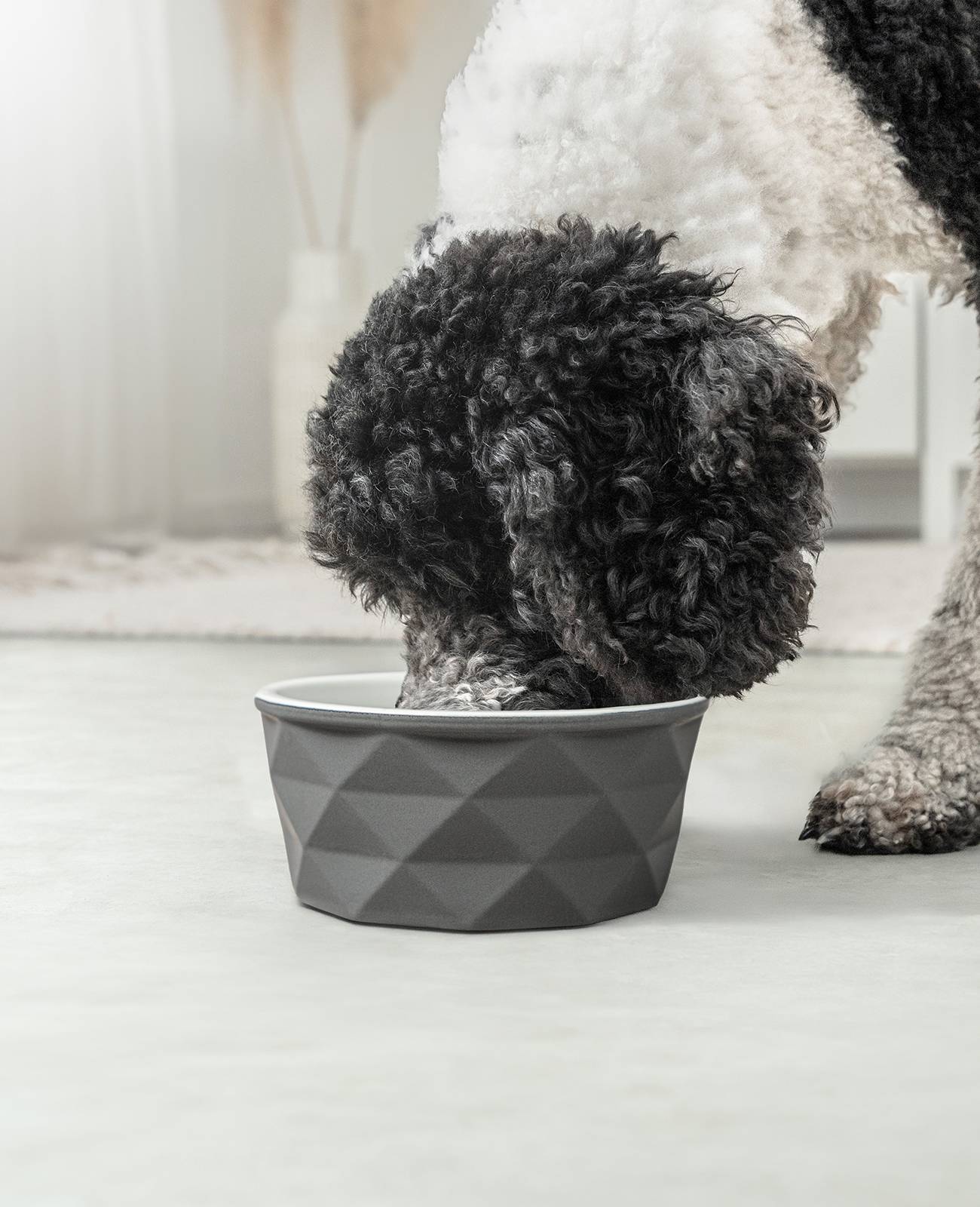 lionto Keramik Futternapf, hochwertiger Napf für Hunde & Katzen, spülmaschinengeeignet, rutschfest & stilvoll, 1100 ml, dunkelgrau/hellgrau matt