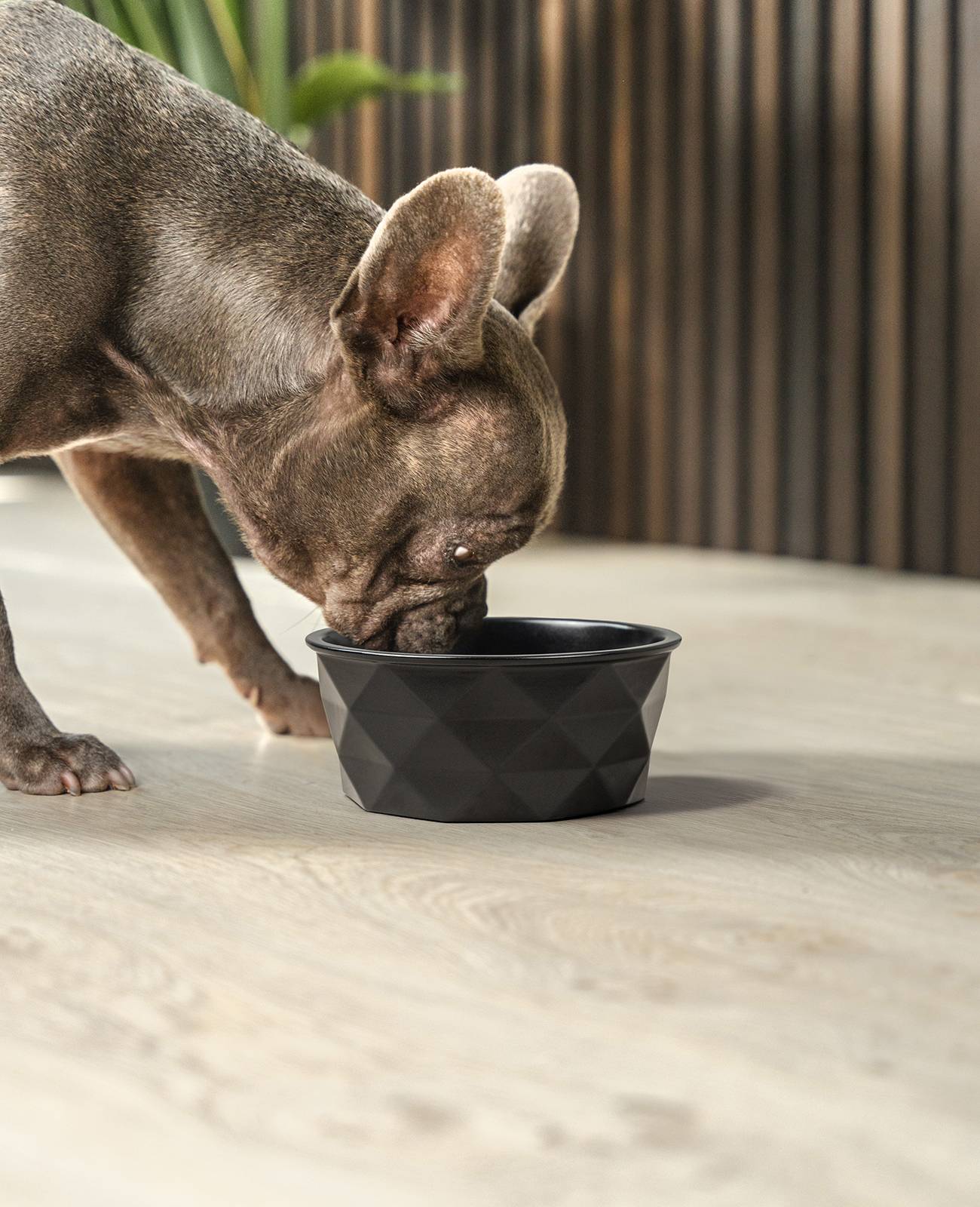 lionto Keramik Futternapf, hochwertiger Napf für Hunde & Katzen, spülmaschinengeeignet, rutschfest & stilvoll, 550 ml, schwarz matt