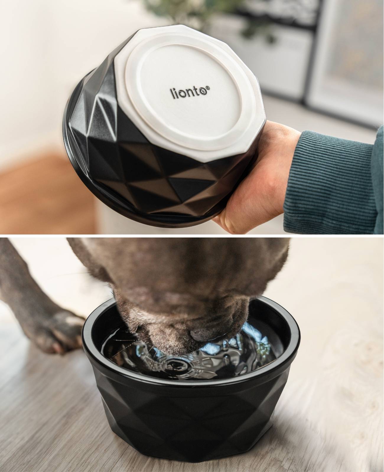 lionto Keramik Futternapf, hochwertiger Napf für Hunde & Katzen, spülmaschinengeeignet, rutschfest & stilvoll, 550 ml, schwarz matt