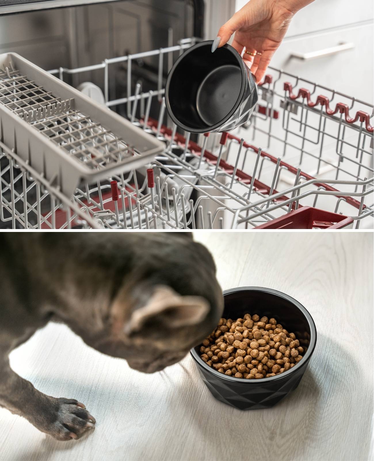 lionto Keramik Futternapf, hochwertiger Napf für Hunde & Katzen, spülmaschinengeeignet, rutschfest & stilvoll, 550 ml, schwarz matt