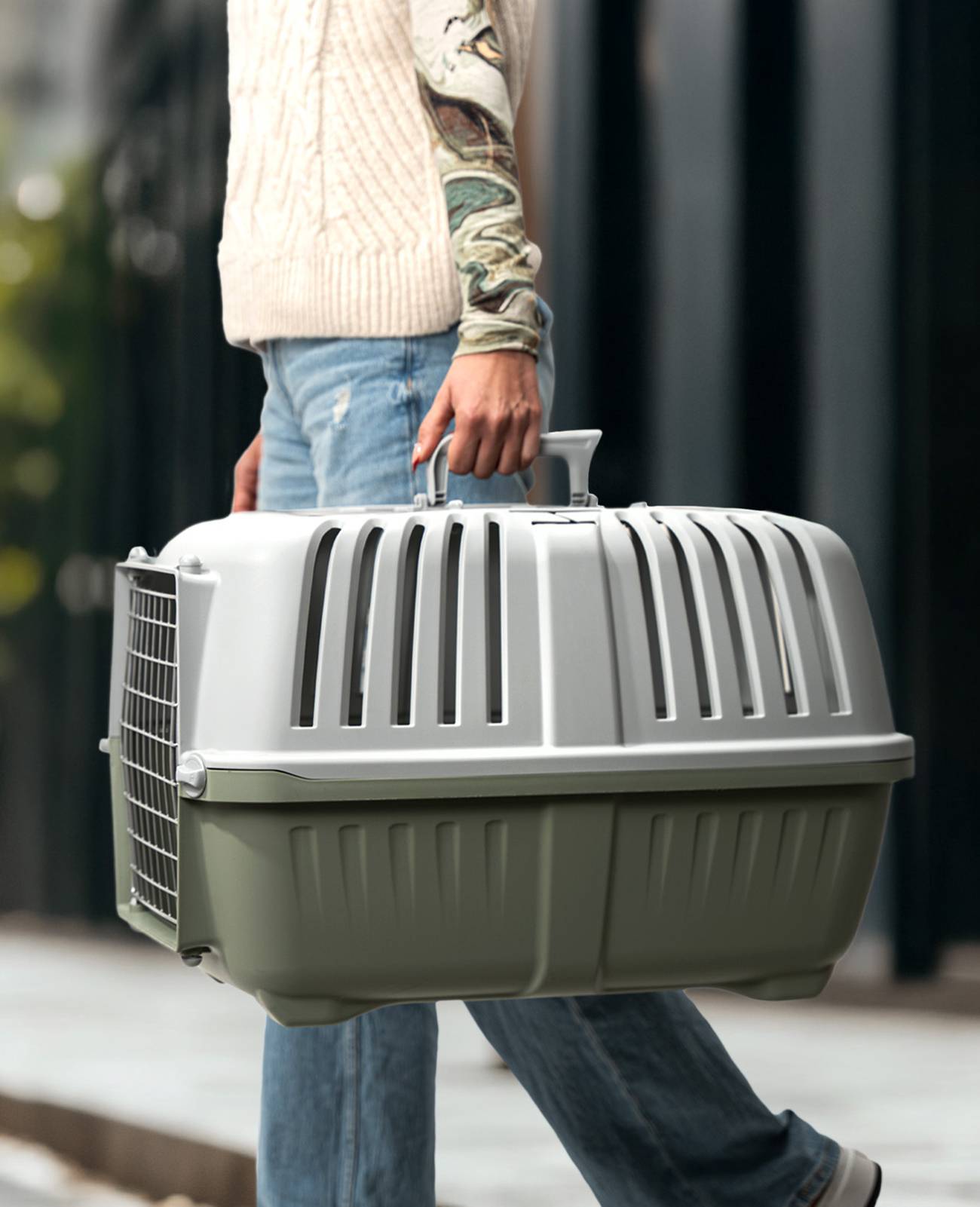 lionto Katzentransportbox, robust & pflegeleicht, mit sicherem Schließsystem & Metalltür, 58,5x35,5x40 cm, hellgrün