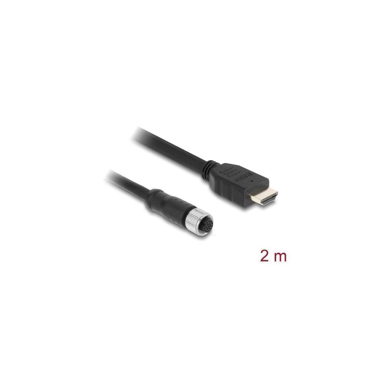 Delock M12 Kabel A-kodiert 17 Pin Buchse zu HDMI Stecker 2 m schwarz