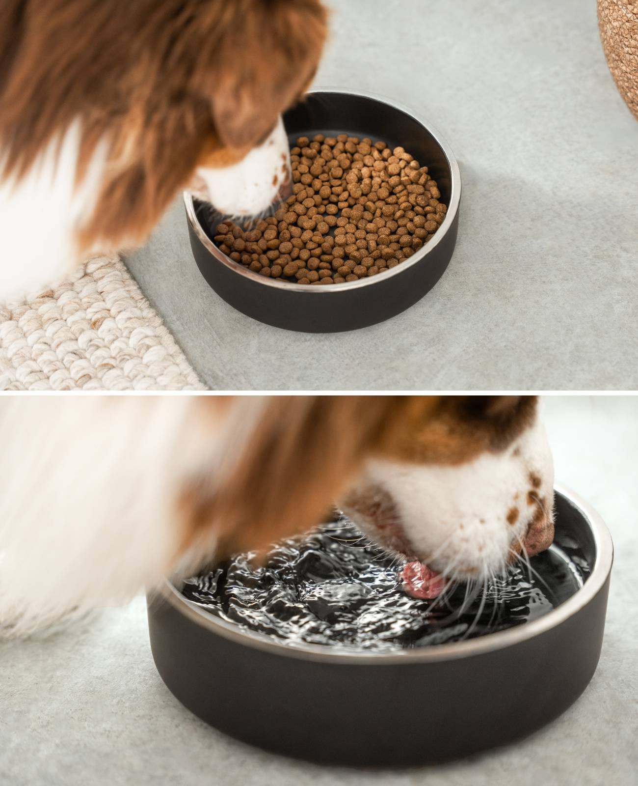 lionto Hundenapf Edelstahl, robuster & hygienischer Futternapf rutschfest, langlebig & stilvoll, 20 cm Durchmesser, 1200 ml, schwarz