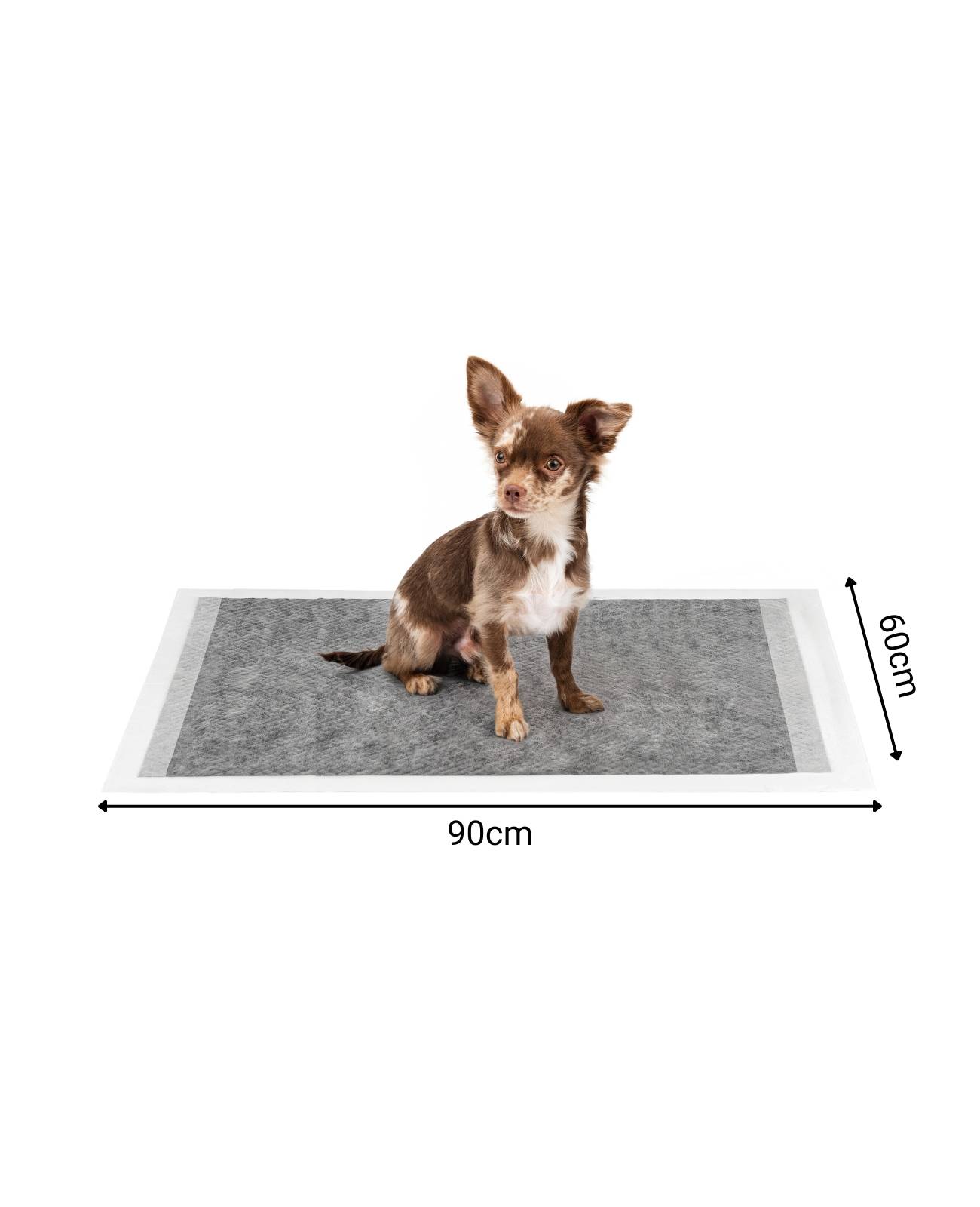lionto Trainingspads, Aktivkohle-Welpenunterlagen mit 6 Schichten, saugstark & geruchshemmend, ideal für Zuhause & Reisen, 60x90 cm, 100 Stück