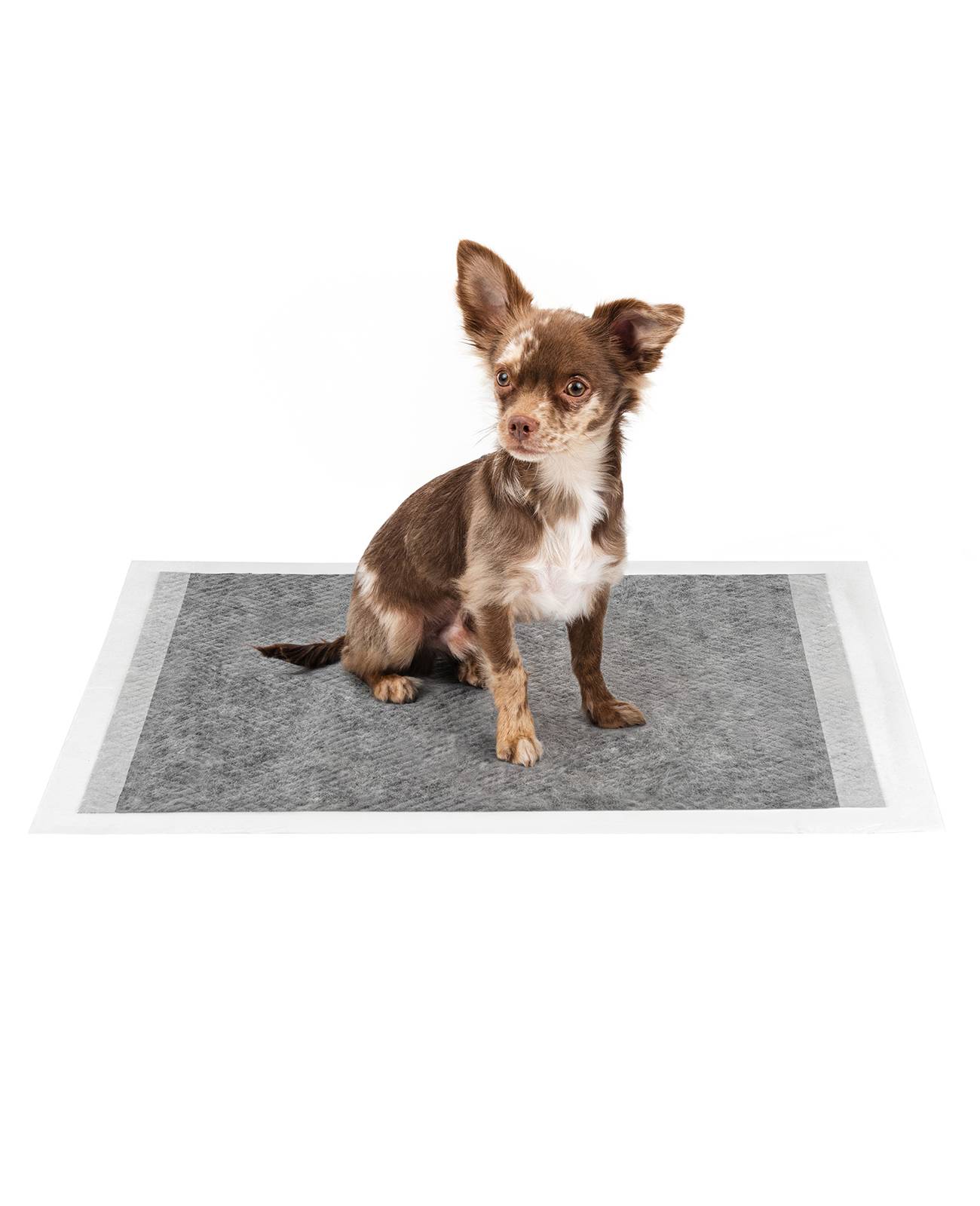 lionto Trainingspads, Aktivkohle-Welpenunterlagen mit 6 Schichten, saugstark & geruchshemmend, ideal für Zuhause & Reisen, 60x60 cm, 100 Stück