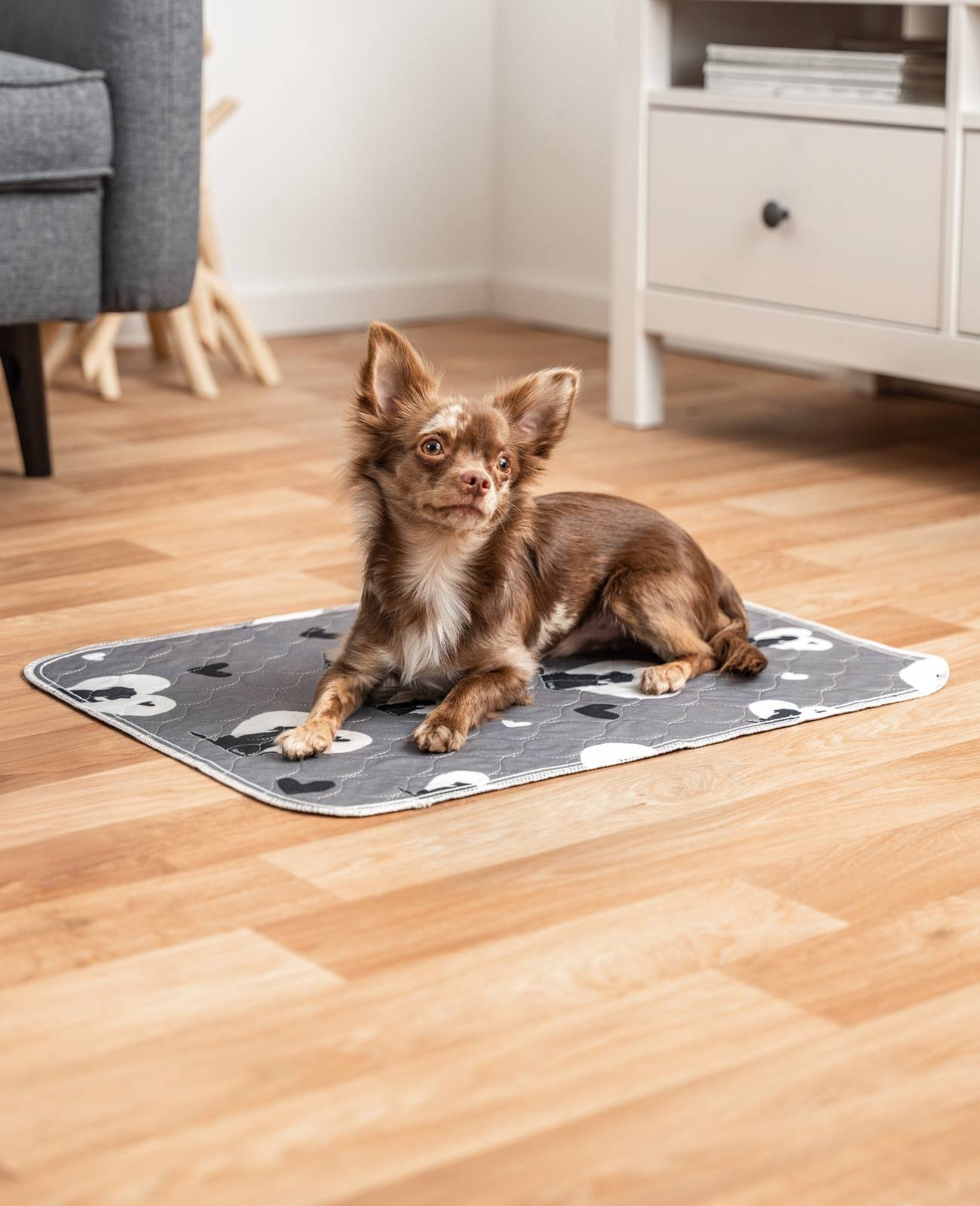 lionto Welpenunterlagen, waschbare, wiederverwendbare Trainingspads mit 4-lagigem Saugkern & rutschfester Unterseite, 61x46 cm, 2-er Set