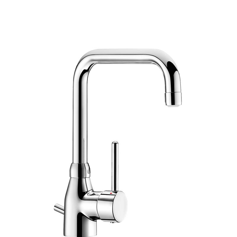 Delabie EHM für WT, Schwenkauslauf H195 L150mm mit Zugst.Ablgarn.