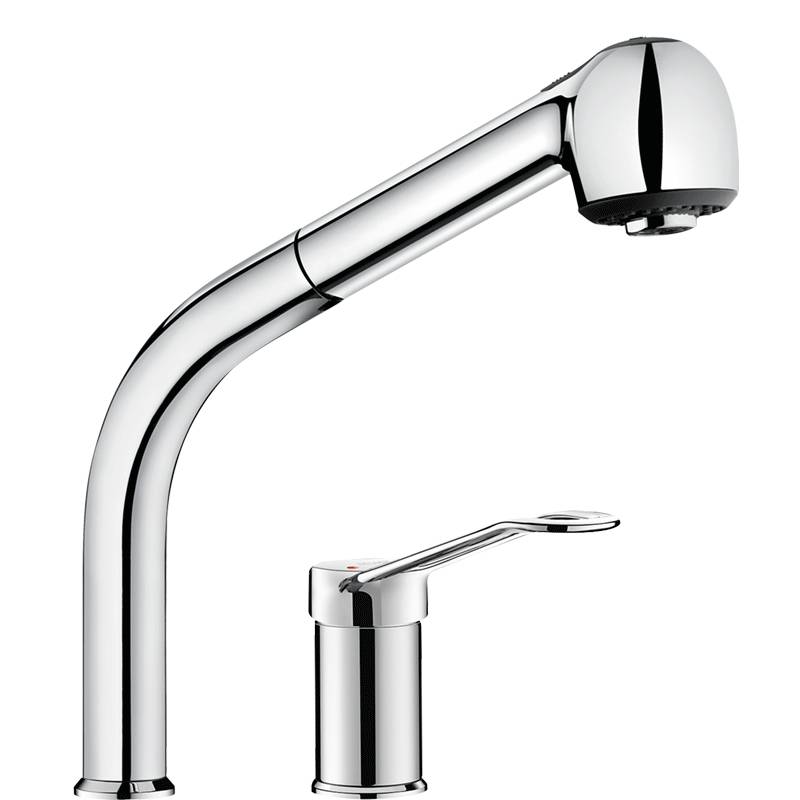 Delabie SPT-EHM EP mit Auszugbrause auf Säule H195mm, Bügelgriff