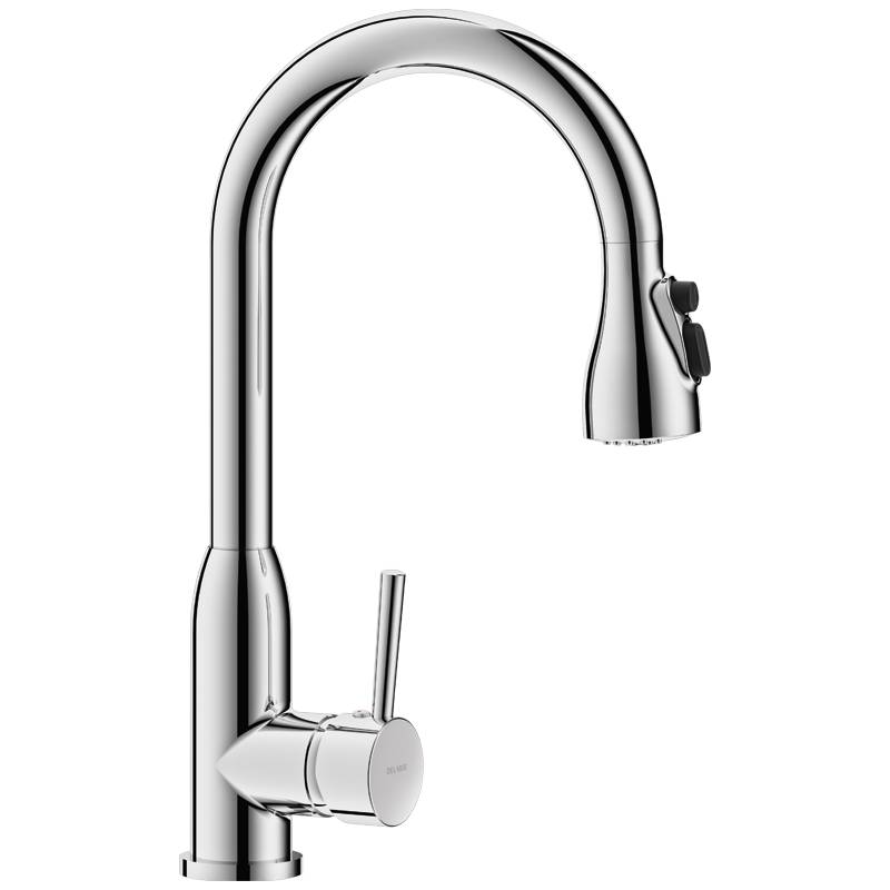 Delabie Einhebelmischer mit Schwenkauslauf H.215 L.200 + Auszugbrause