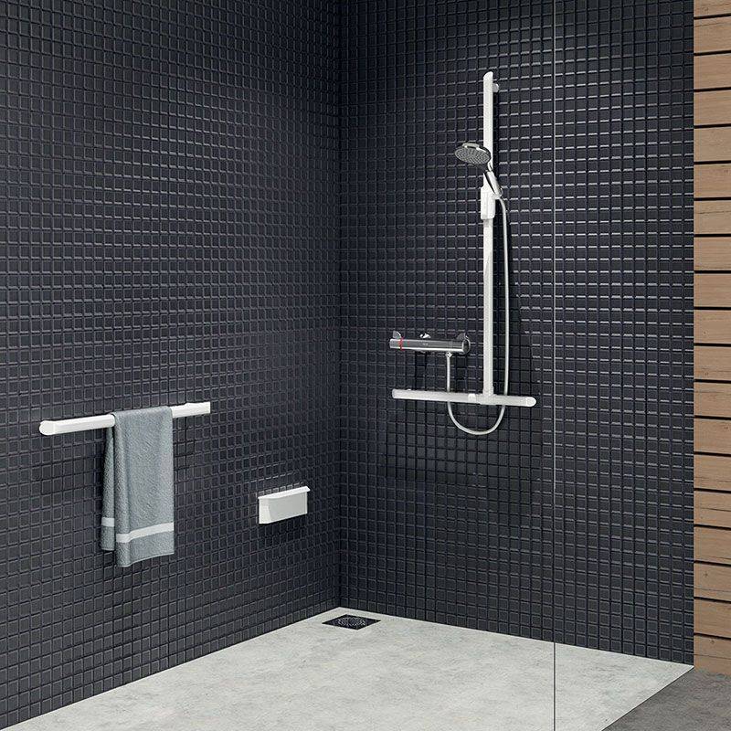 Delabie Haltegriff Be-Line D35 L.500 Aluminium weiß