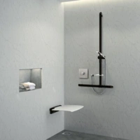 Delabie Duschklappsitz abnehmbar Be-Line ohne Fuß Alu matt schwarz Delabie Duschklappsitz abnehmbar Be-Line ohne Fuß Alu matt schwarz