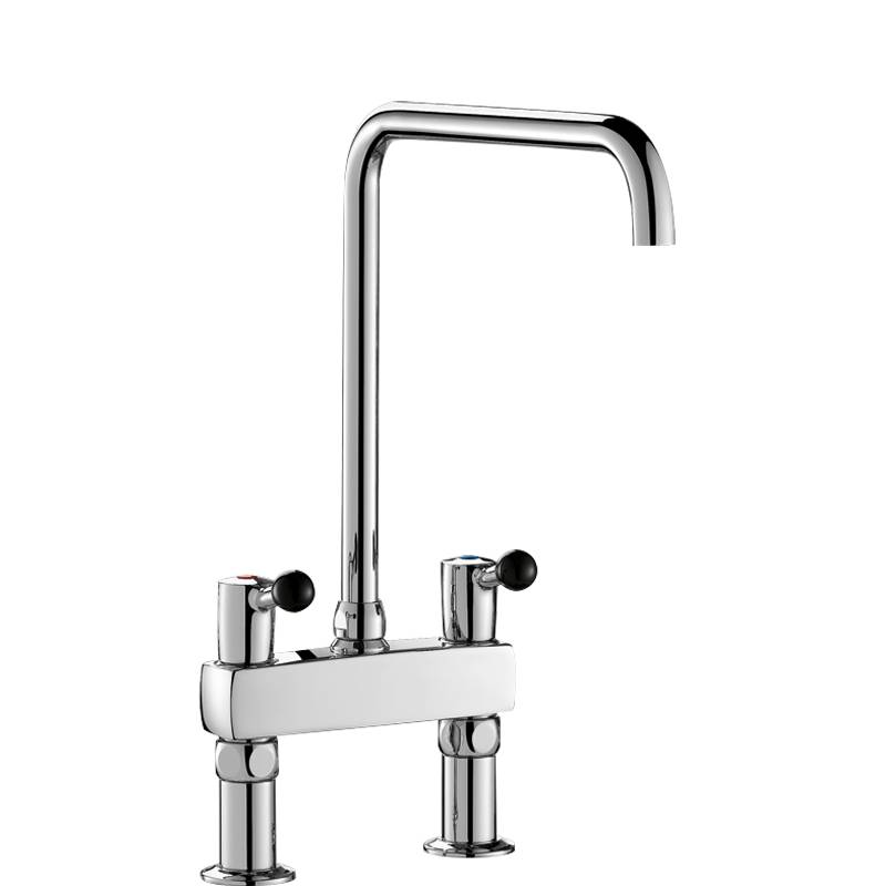 Delabie Stand MBatt. 2-Lochbrg. 100l/min,Schwenkausl.D22 L300 H380mm