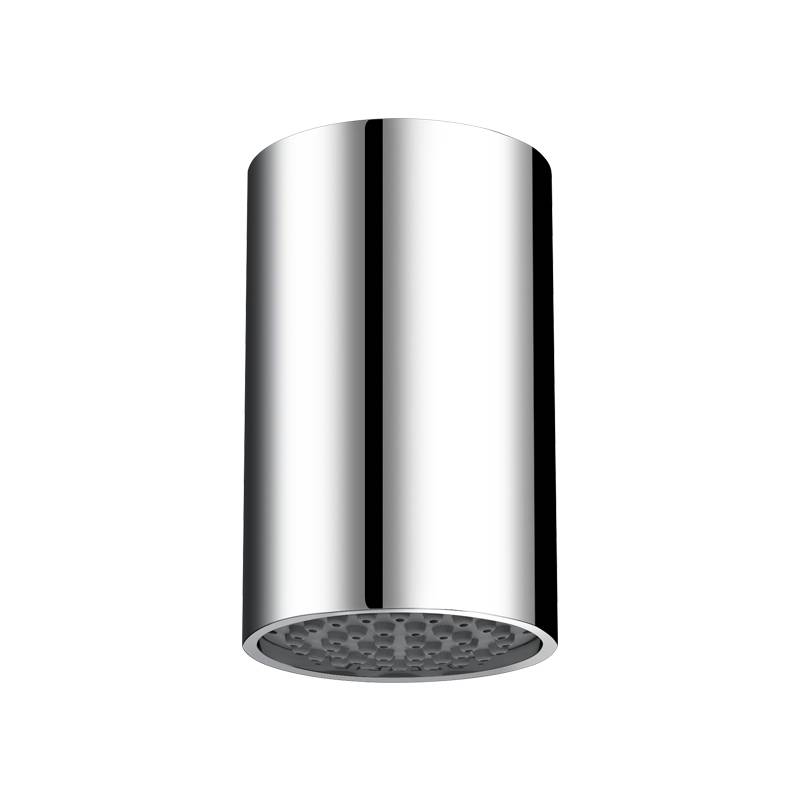 Delabie Brausekopf RAINY G1/2 für Deckenmontage