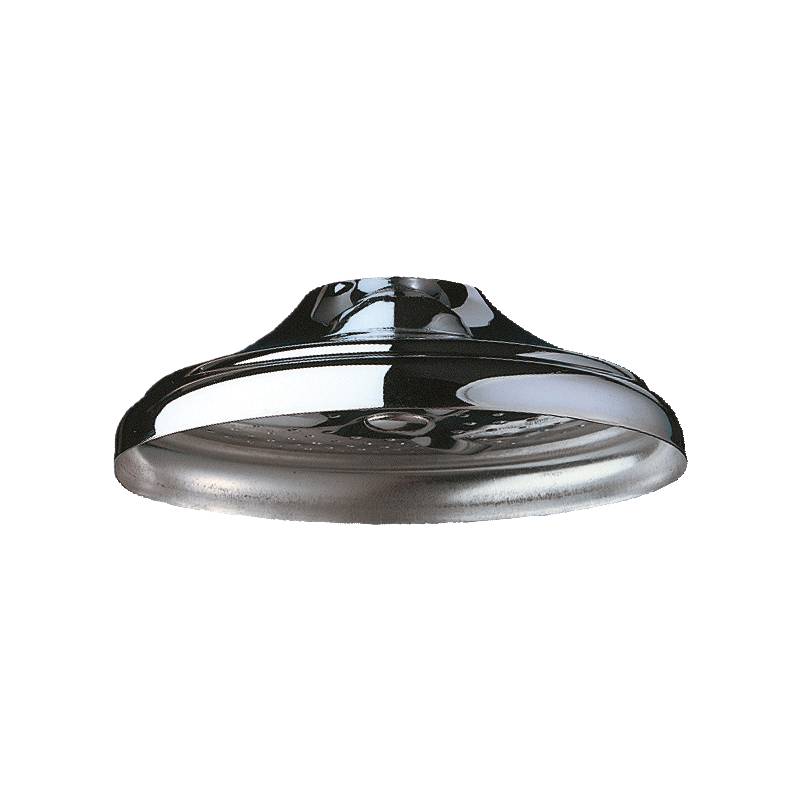 Delabie Brausekopf für Deckenmontage G1/2, mit verchr. Rand D80mm