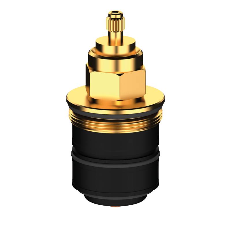 Delabie Service-Kit für Therm. PREMIX COMFORT G3/4B oder G1B