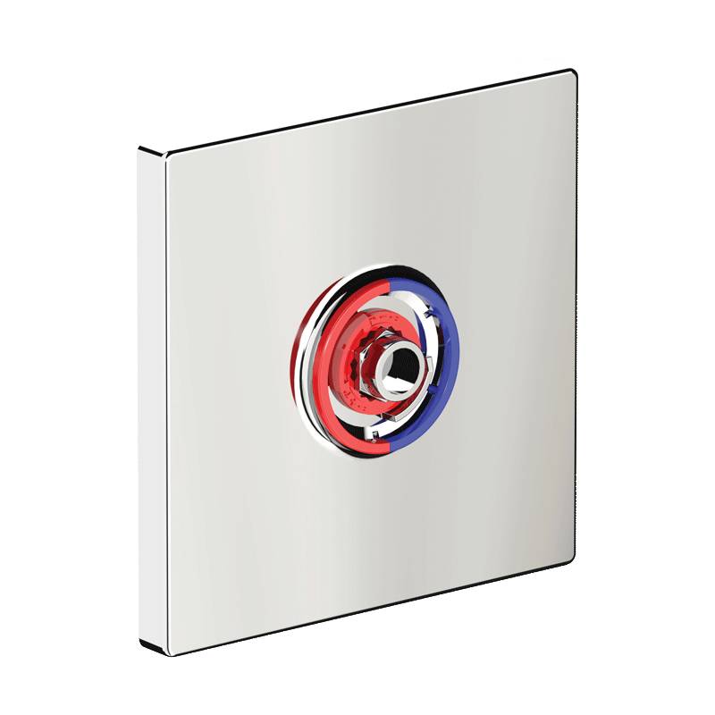 Plaque de recouvrement Delabie pour mitigeur à fermeture automatique TEMPOMIX 3 encastré