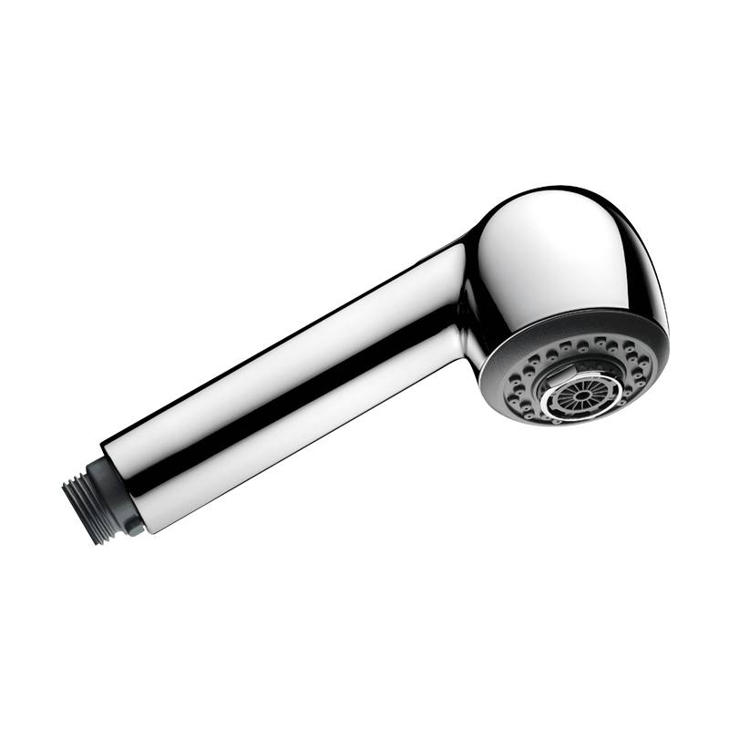 Delabie Handbrause G1/2B 2 Strahlarten mit Umsteller,Anti-Kalk