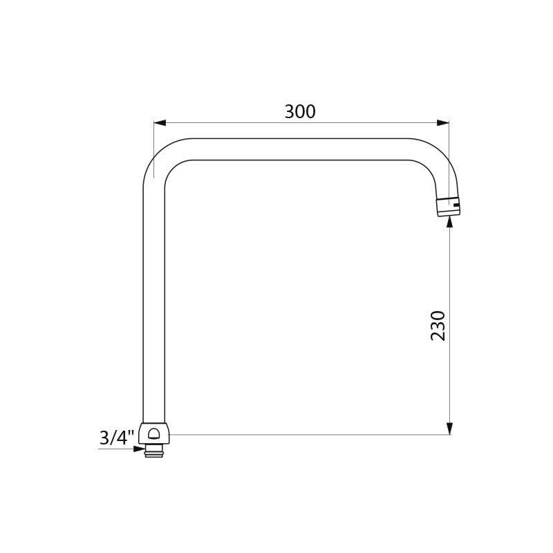 Delabie Schwenkauslauf oben D22 H230 L300mm Mutter G3/4