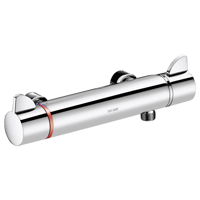 Delabie Brausethermostat SECURITHERM Securitouch, ohne S-Anschlüsse