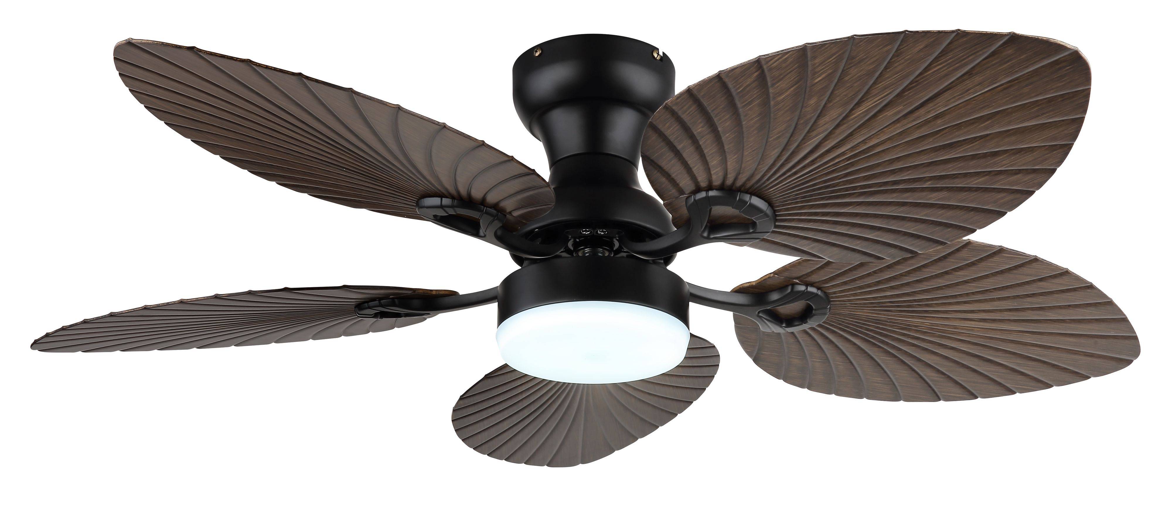 DC Deckenventilator Elise Schwarz mit LED
