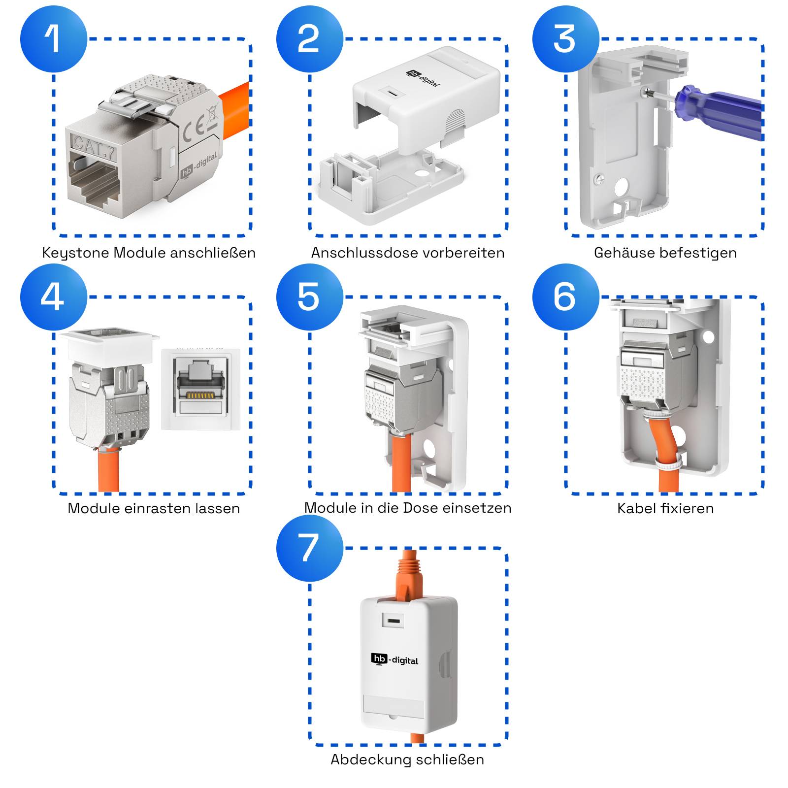 hb-digital Set Anschlussbox 1-Port Keystone Module CAT 6a