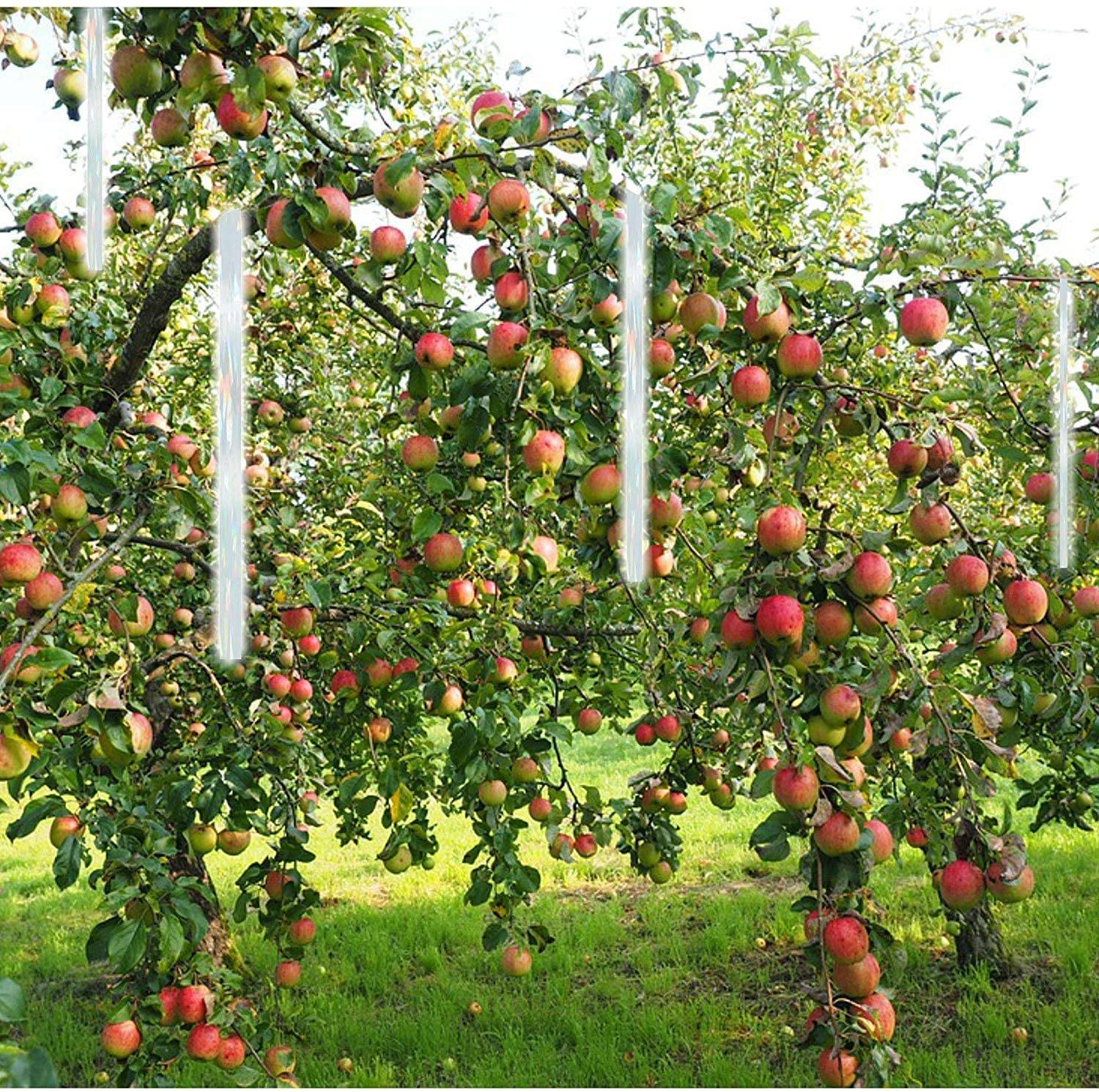 10 Rollen Reflektierend Vogel-abwehr-Band Reflektoren Vögel abschrecken