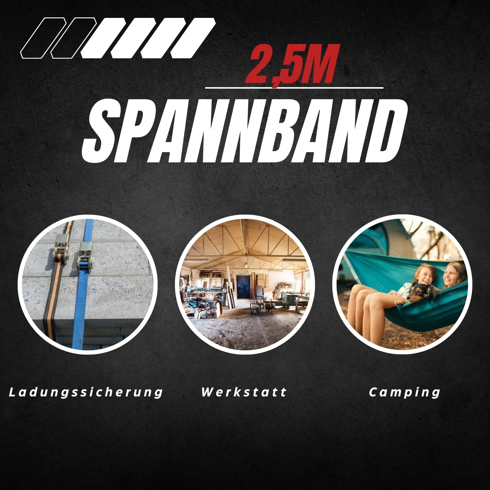 4x Spanngurt 25mm 2,5m lang Spanngurte Befestigungsgurt Klemmverschluss Befestigungsriemen Sicherung Ladung Gepäck Verzurren Zurrgurte