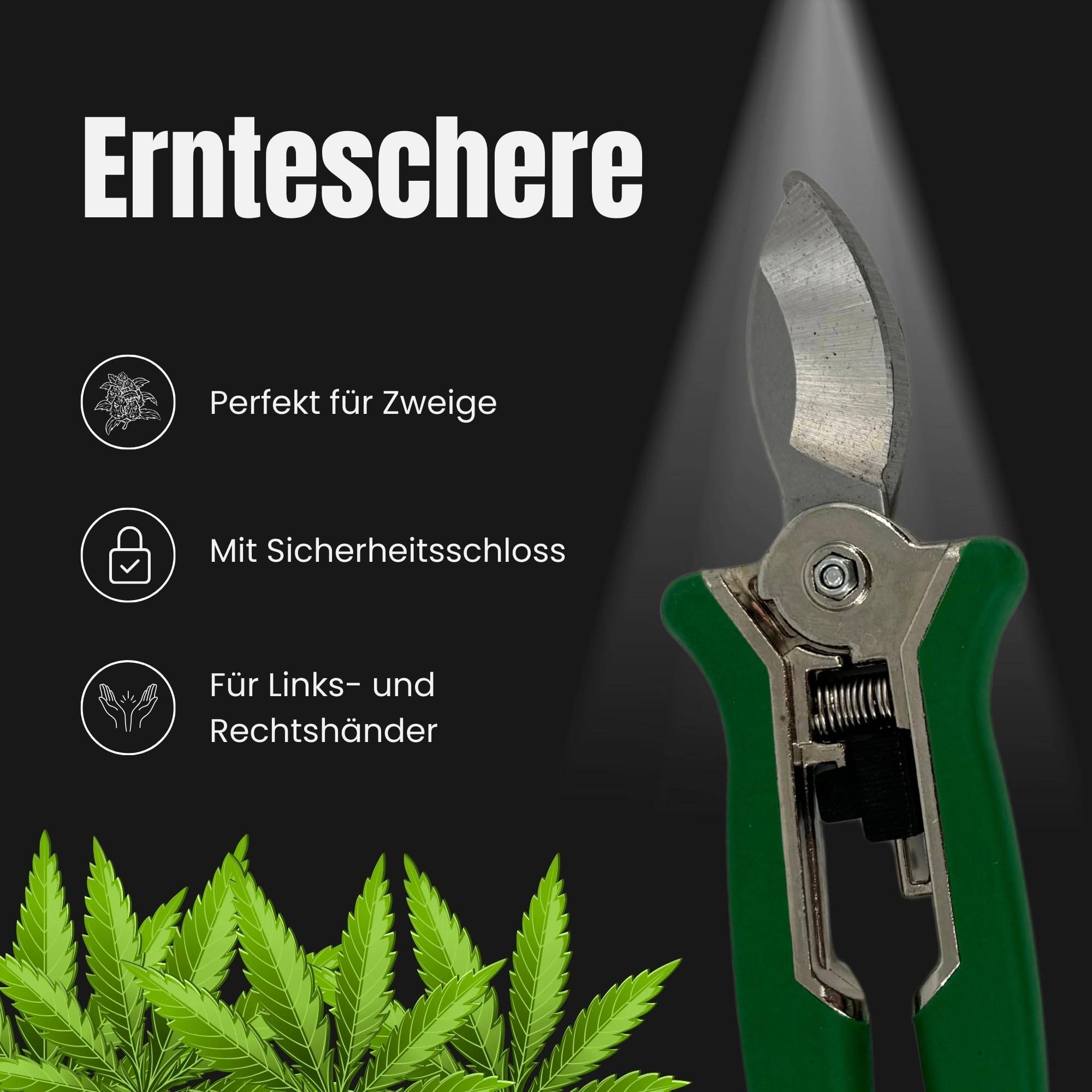Premium Grow Ernteschere + Trimmschere Set Gartenschere Schere gerade für Eigenanbau Growbox Zelt Trimmen Trimmer Planzen Erntehelfer Knipser