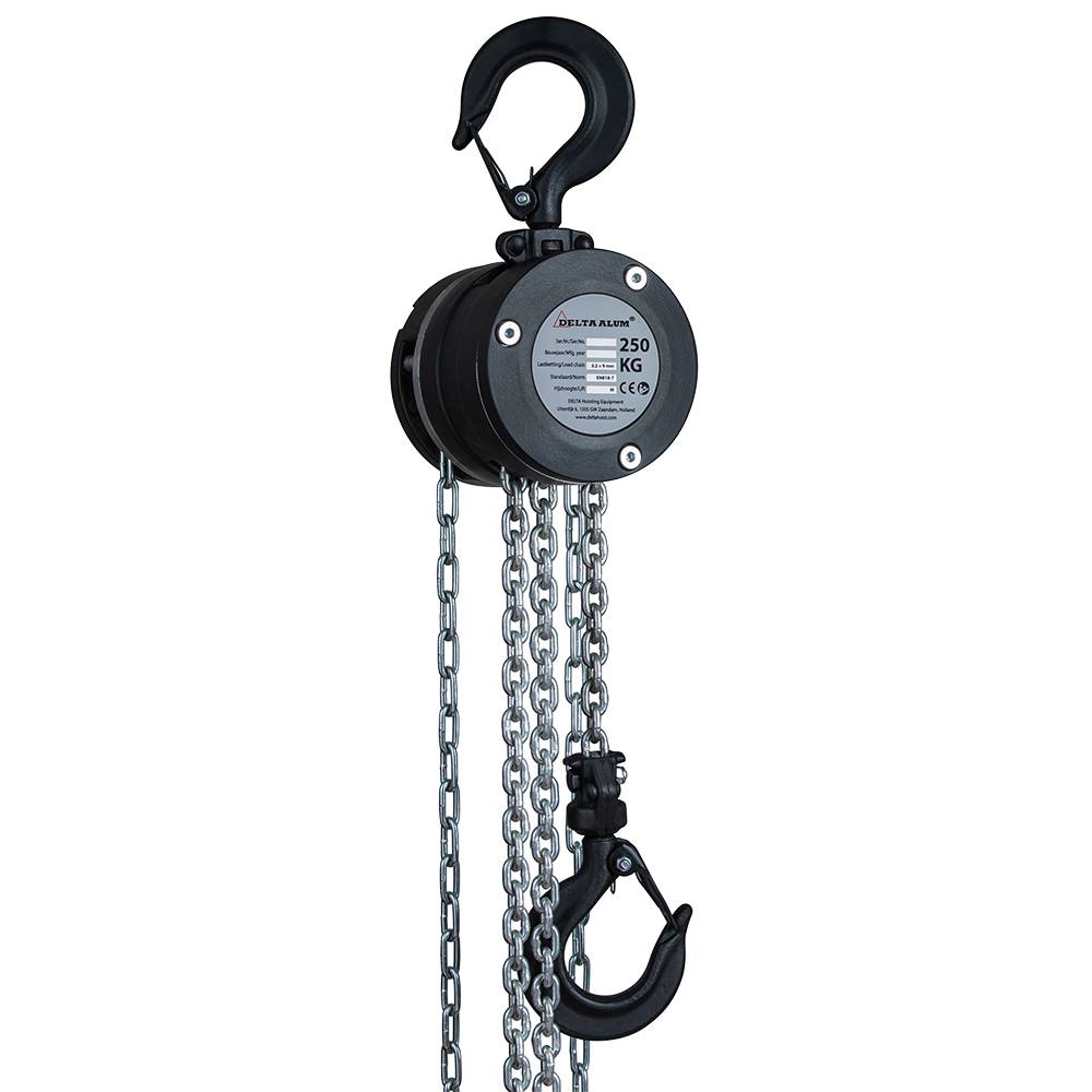 Delta Alum Stirnradkettenzug 360° Tragkraft 0,25t Hubhöhe 6,0m
