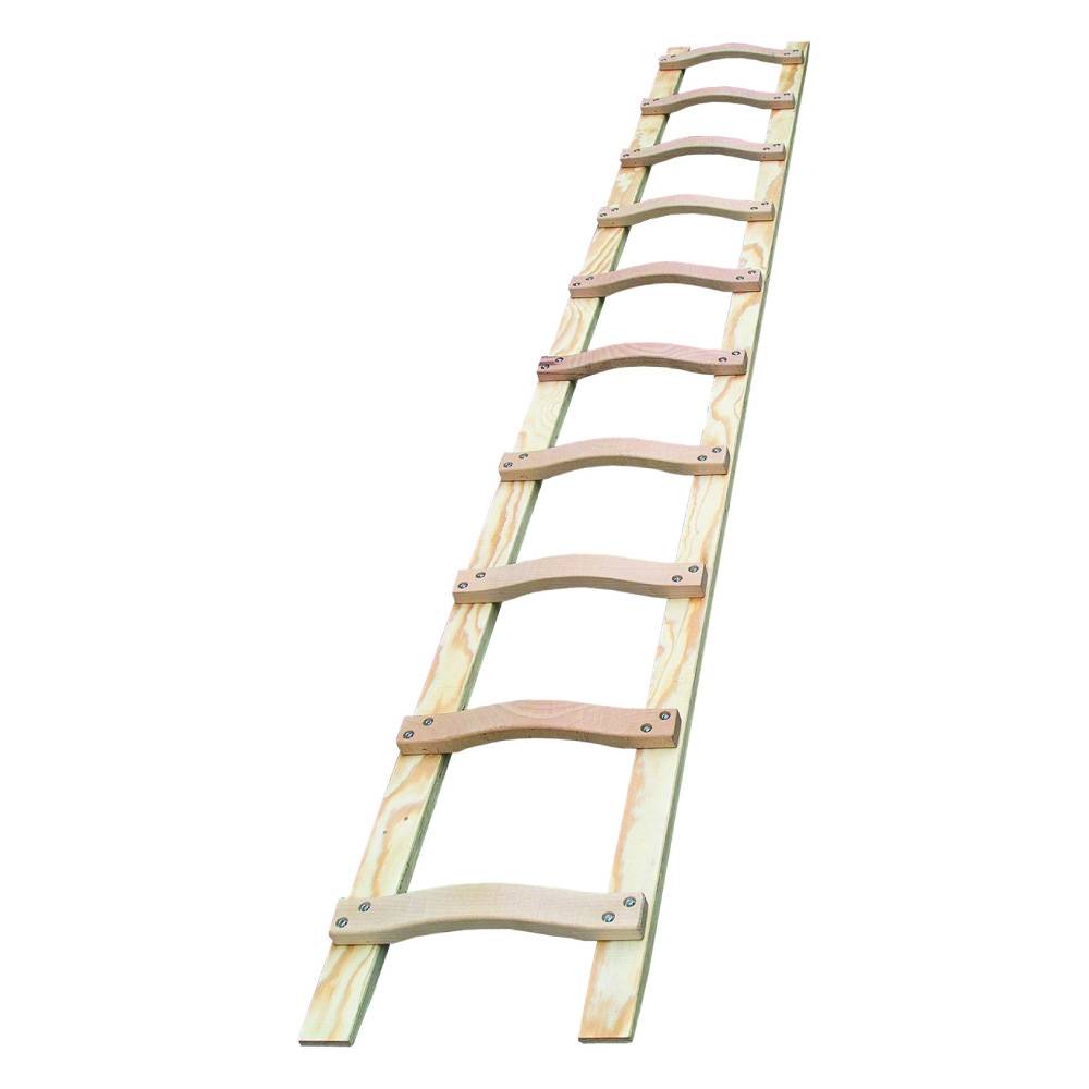 Mauderer Bavaria Holz Dachauflegeleiter 595 mit geschweiften Sprossen für sicheren Auftritt 10 Sprossen 3,00m Lang