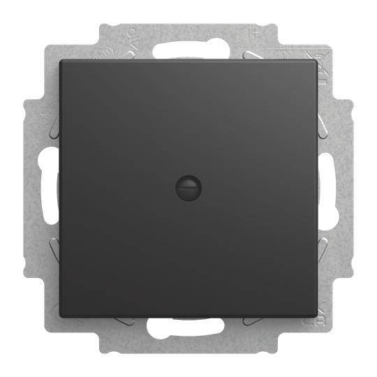 BJ Blindzentralscheibe 2538-915 m.Tragring Busch-balance SI schwarz matt Install.Baumaterial