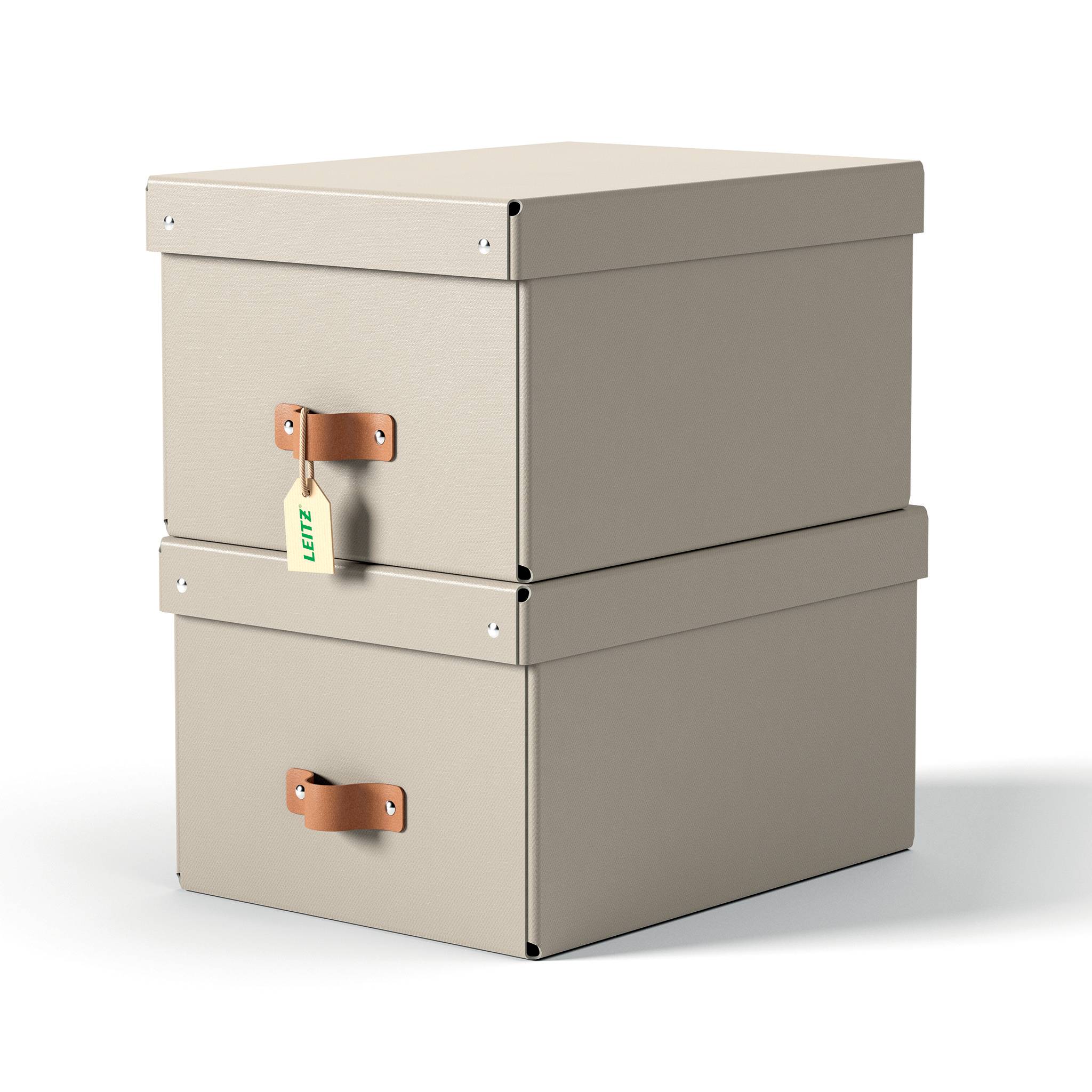 Esselte Leitz Arrchivbox Puro mittel mit Klappdeckel 2 Stueck Sand