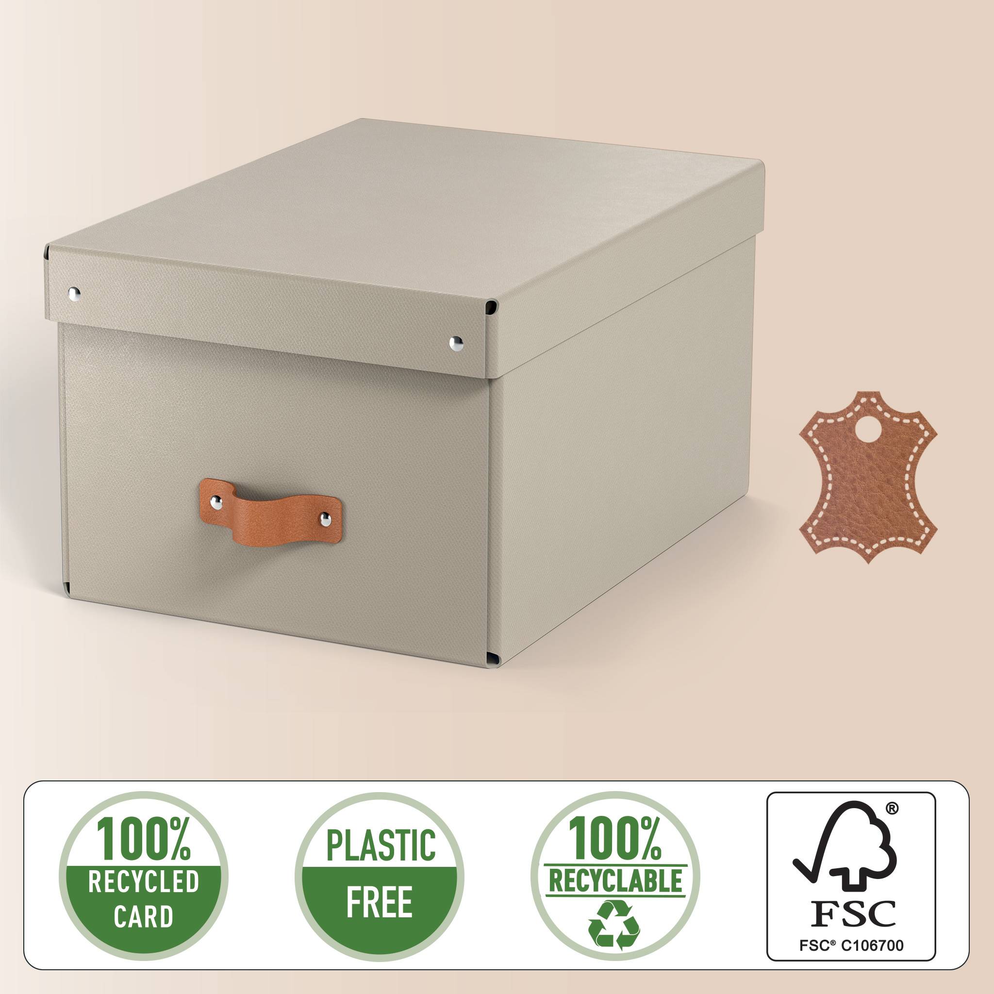 Esselte Leitz Arrchivbox Puro mittel mit Klappdeckel 2 Stueck Sand