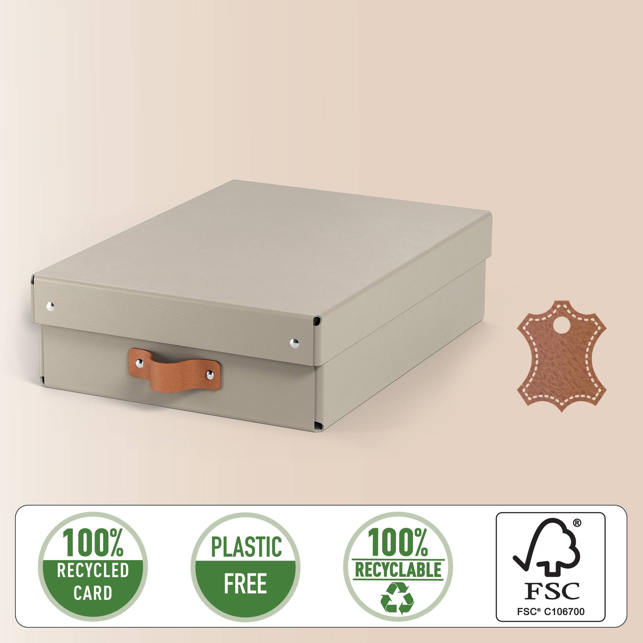 Esselte Leitz Arrchivbox Puro flach mit Klappdeckel 2 Stueck Sand