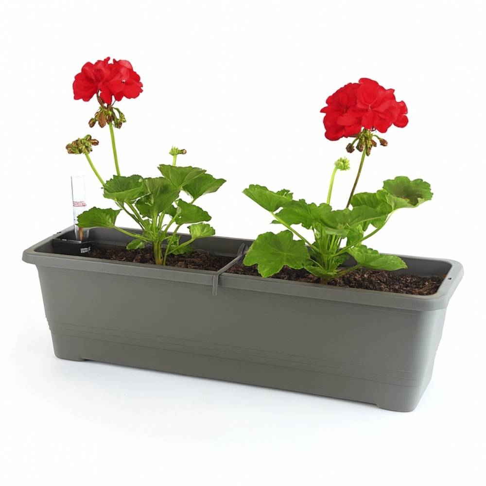 Blumenkasten Balkon 50 cm Balkonkasten mit Halterung Blumenkasten mit Wasserspeicher Fensterbank Außen Balkongeländer Blumenkastenhalterung