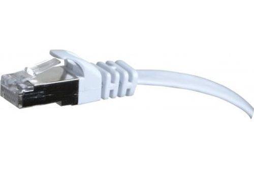 Ein Ethernet-Kabel mit weißem Stecker wird gezeigt. Es wird für kabelgebundene Internetverbindungen verwendet und unterstreicht seine Bedeutung in der Netzwerktechnik.