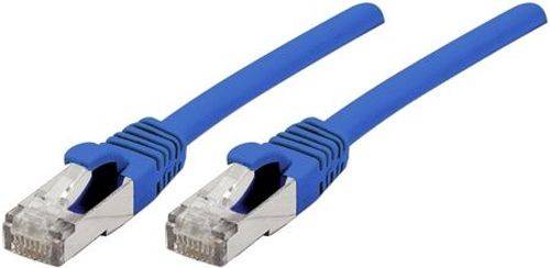 Ein blaues Ethernet-Kabel mit transparentem Stecker, das typischerweise für die Internetverbindung verwendet wird.