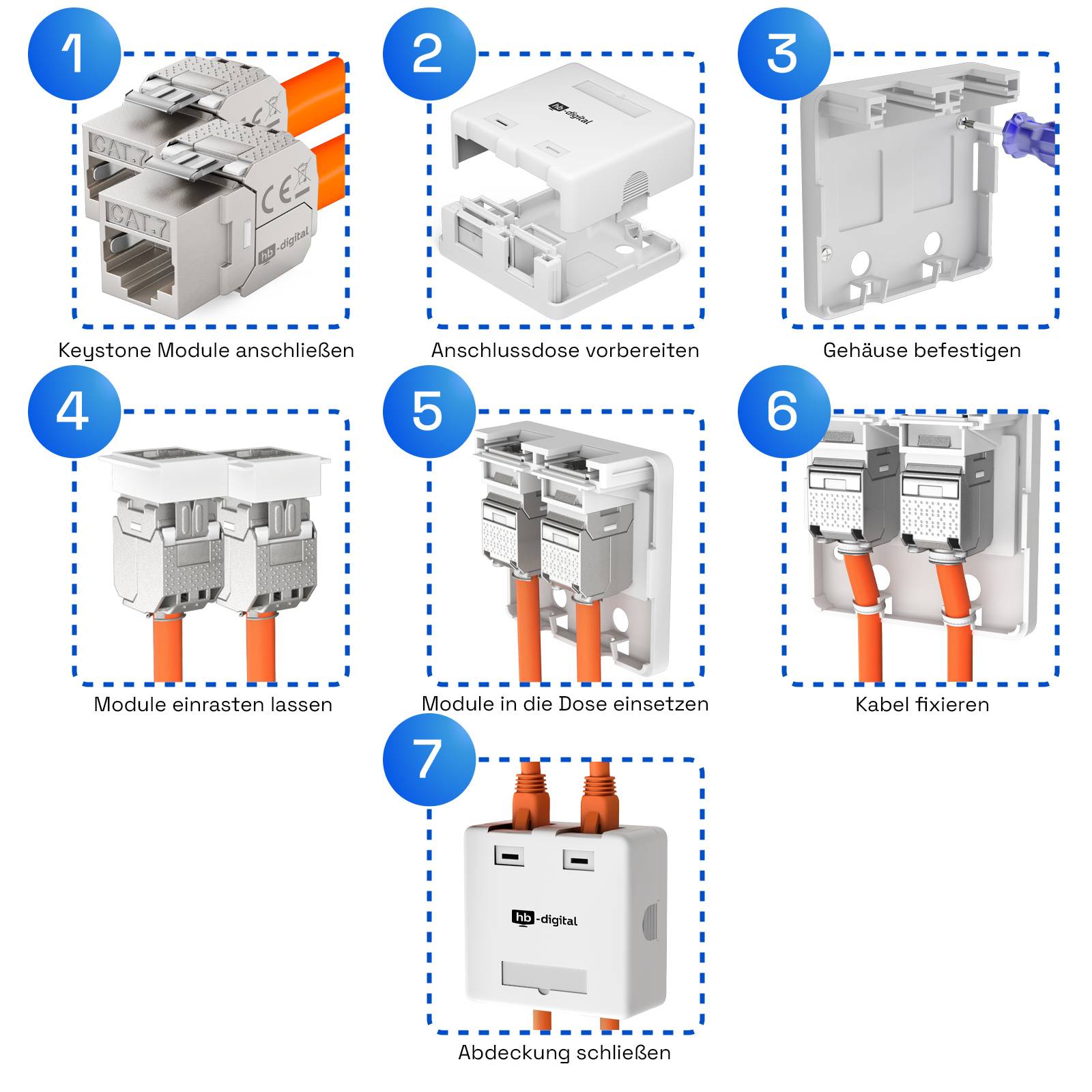hb-digital Set Anschlussbox 2-Port Keystone Module CAT 8