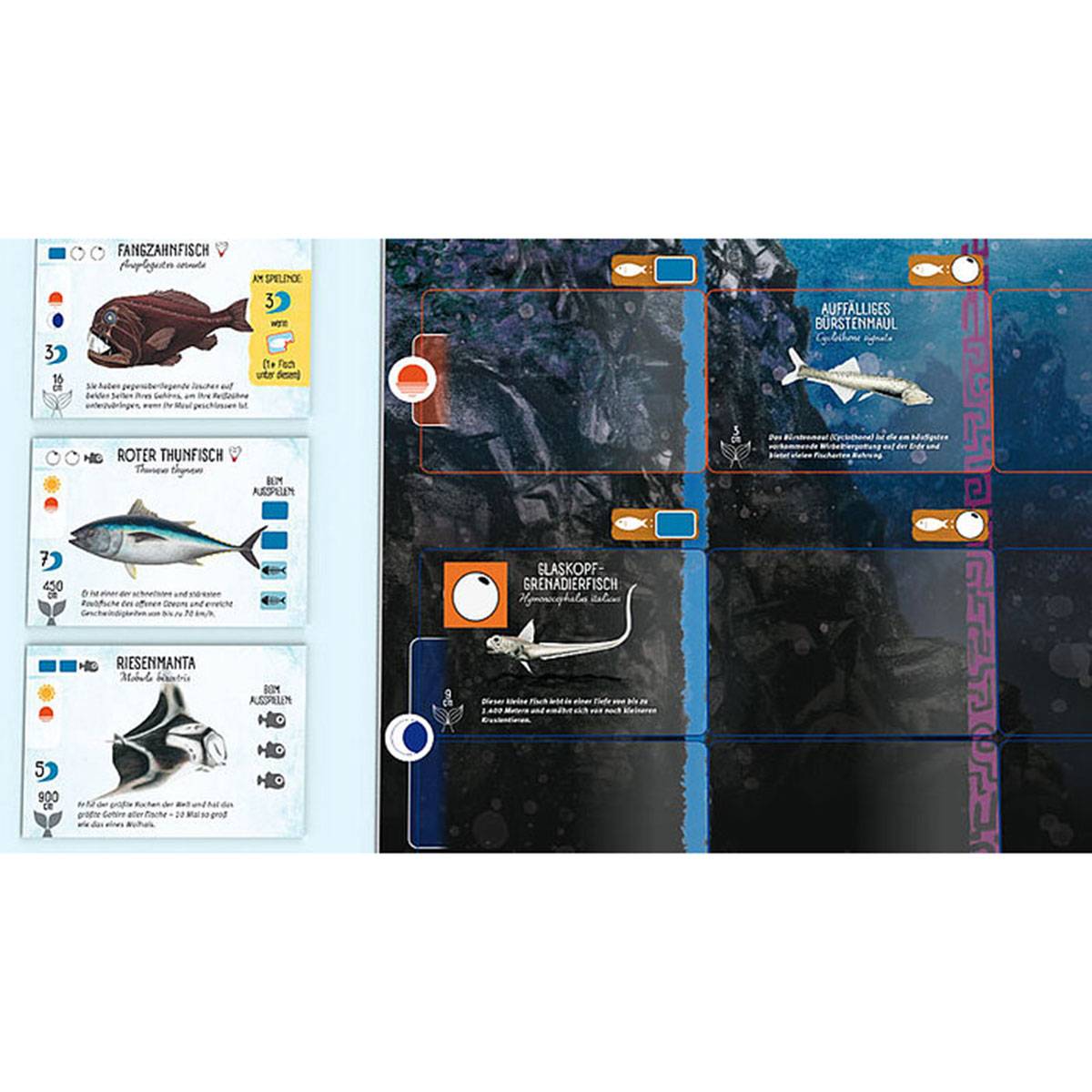 Feuerland Flossenschlag (DE) - Familienspiel