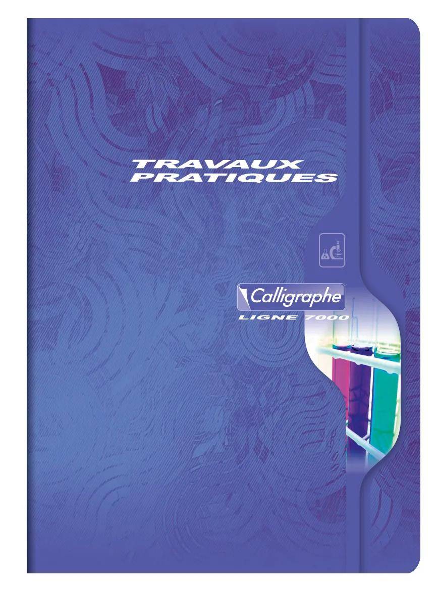 Calligraphe 5x Spiralheft 3D 12X12 100 BL TEDDY - Sortiert 7599C