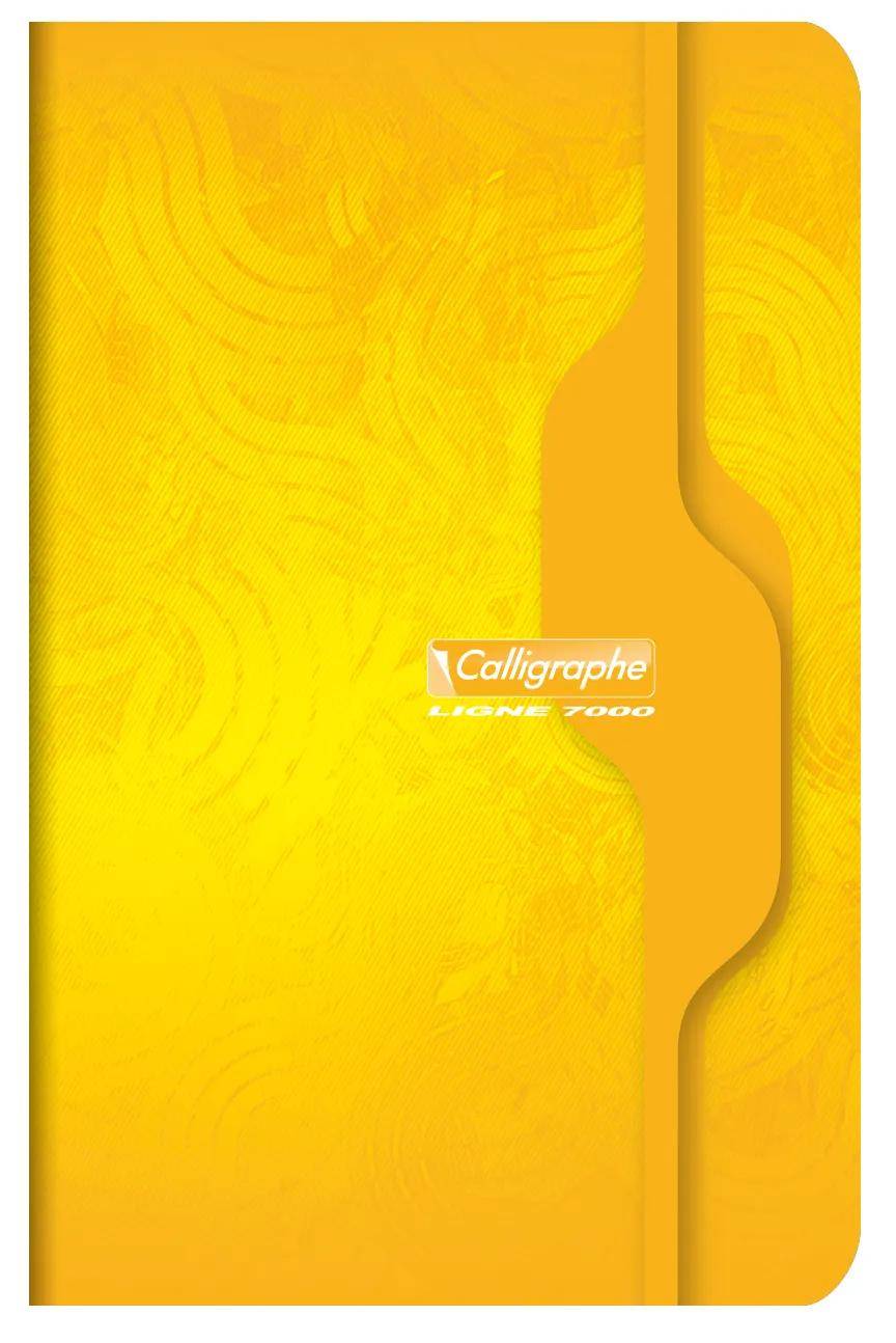 Calligraphe 10x Pkg 10 Hefte 11x17 48Bl kar sort - Sortiert 70C