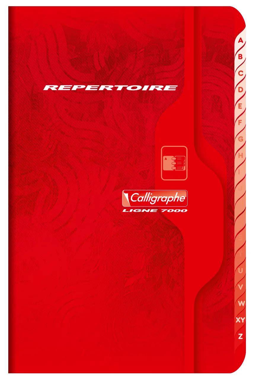 Calligraphe 10x 7000, Répertoire piqué 11x17 96p Q.5x5 7 - Sortiert 841C