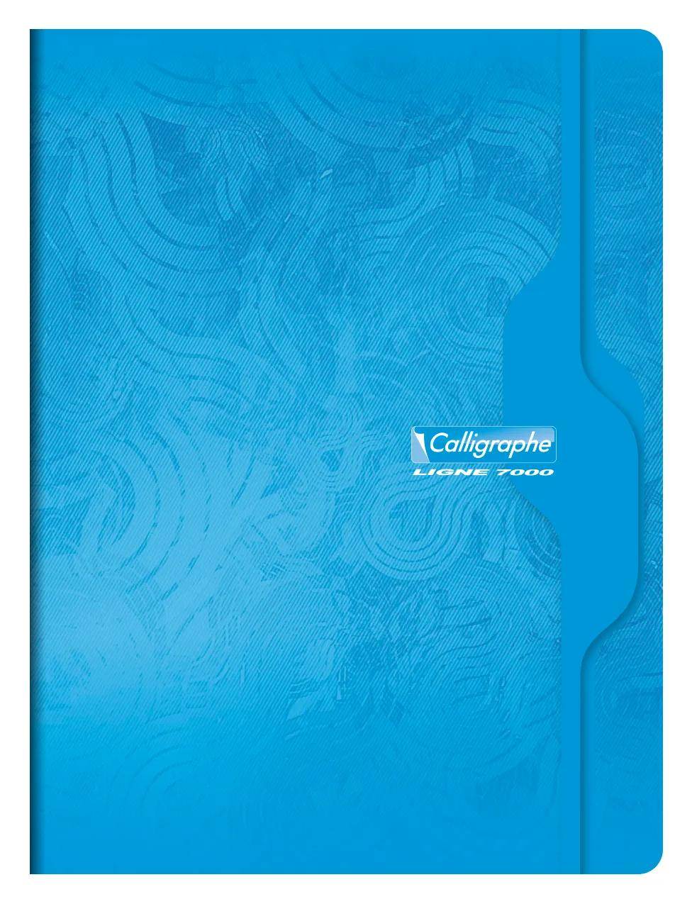 Calligraphe 10x Heft 48Bl 24x32 blanko w sort - Sortiert 7490C