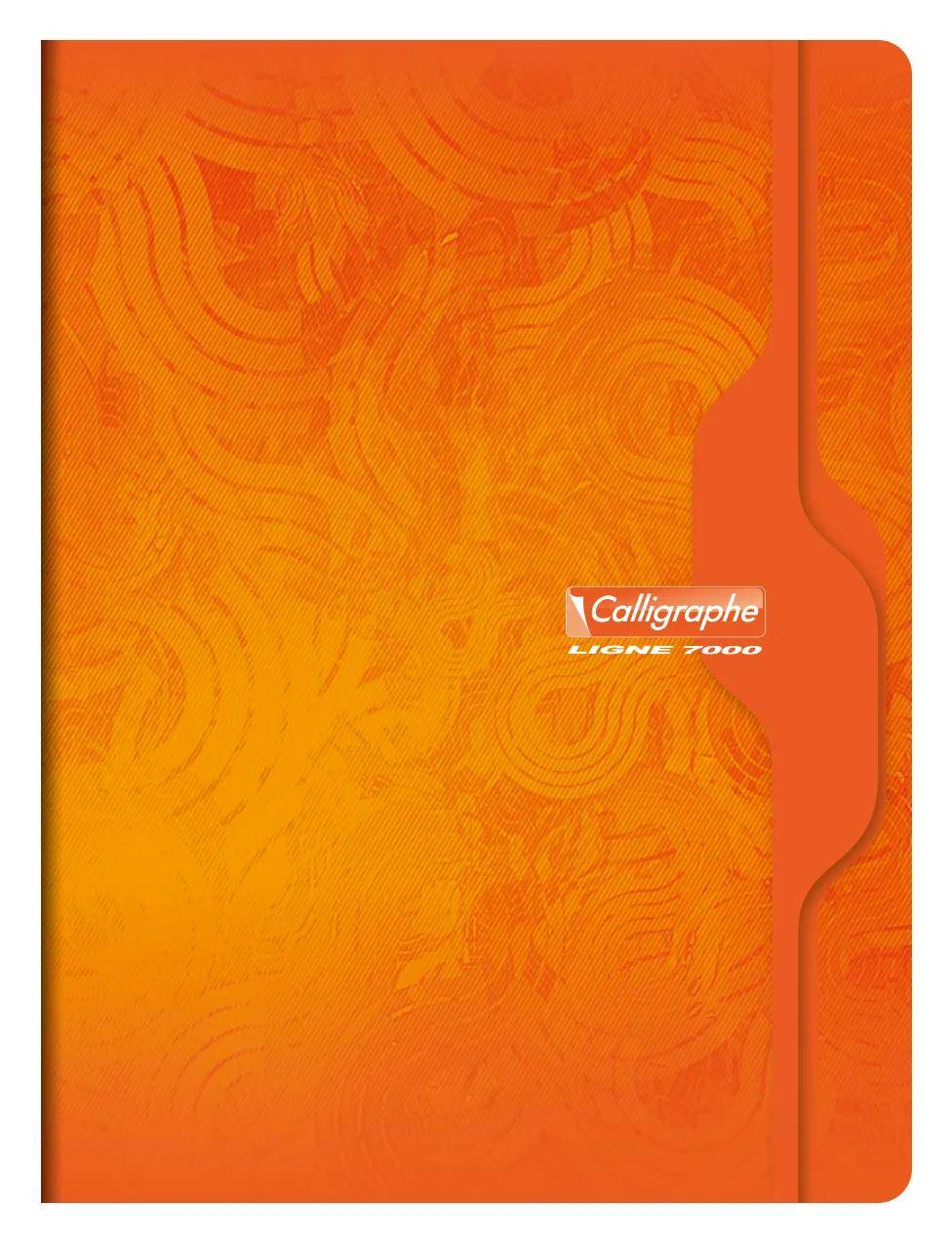 Calligraphe 10x Heft 48Bl 24x32 blanko w sort - Sortiert 7490C