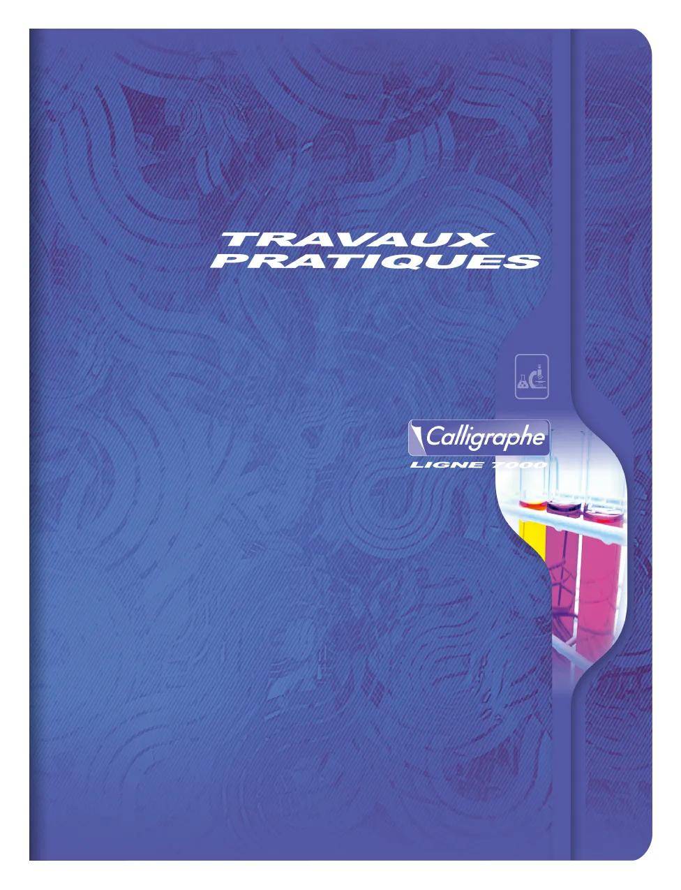 Calligraphe 10x Travaux pratiques 24x32cm/48 Bl - Sortiert 7600C