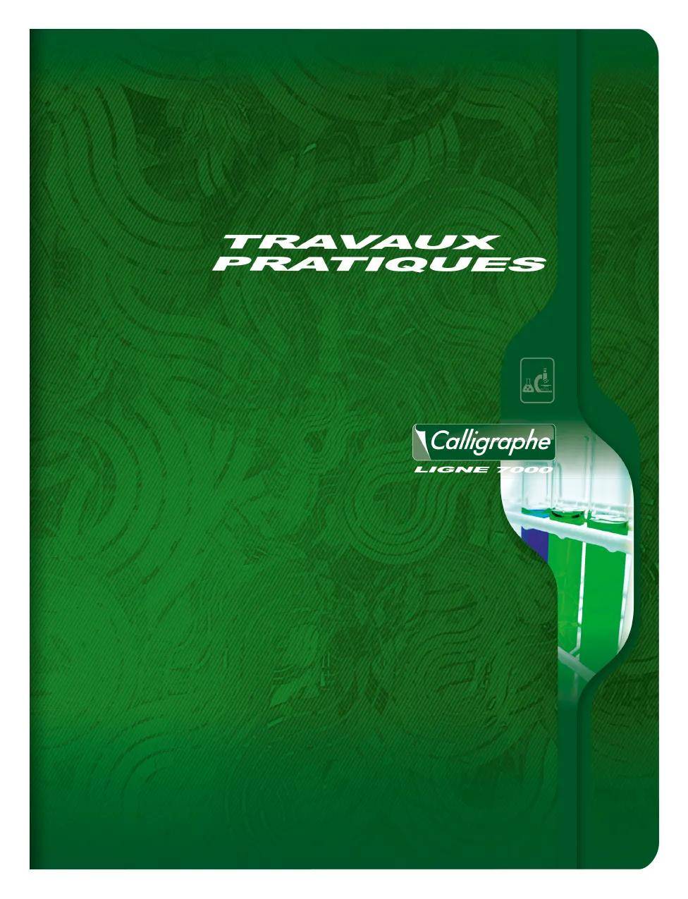 Calligraphe 10x Travaux pratiques 24x32cm/48 Bl - Sortiert 7600C