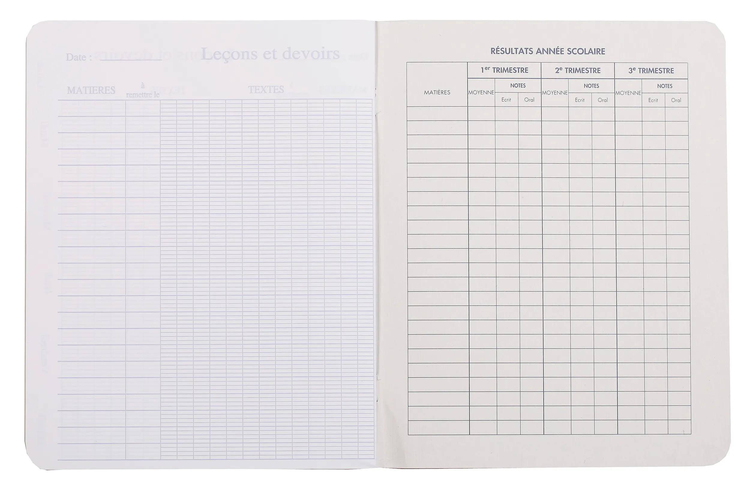 Calligraphe 10x Heft 17X22 120P SEYES 70G - Sortiert 55C